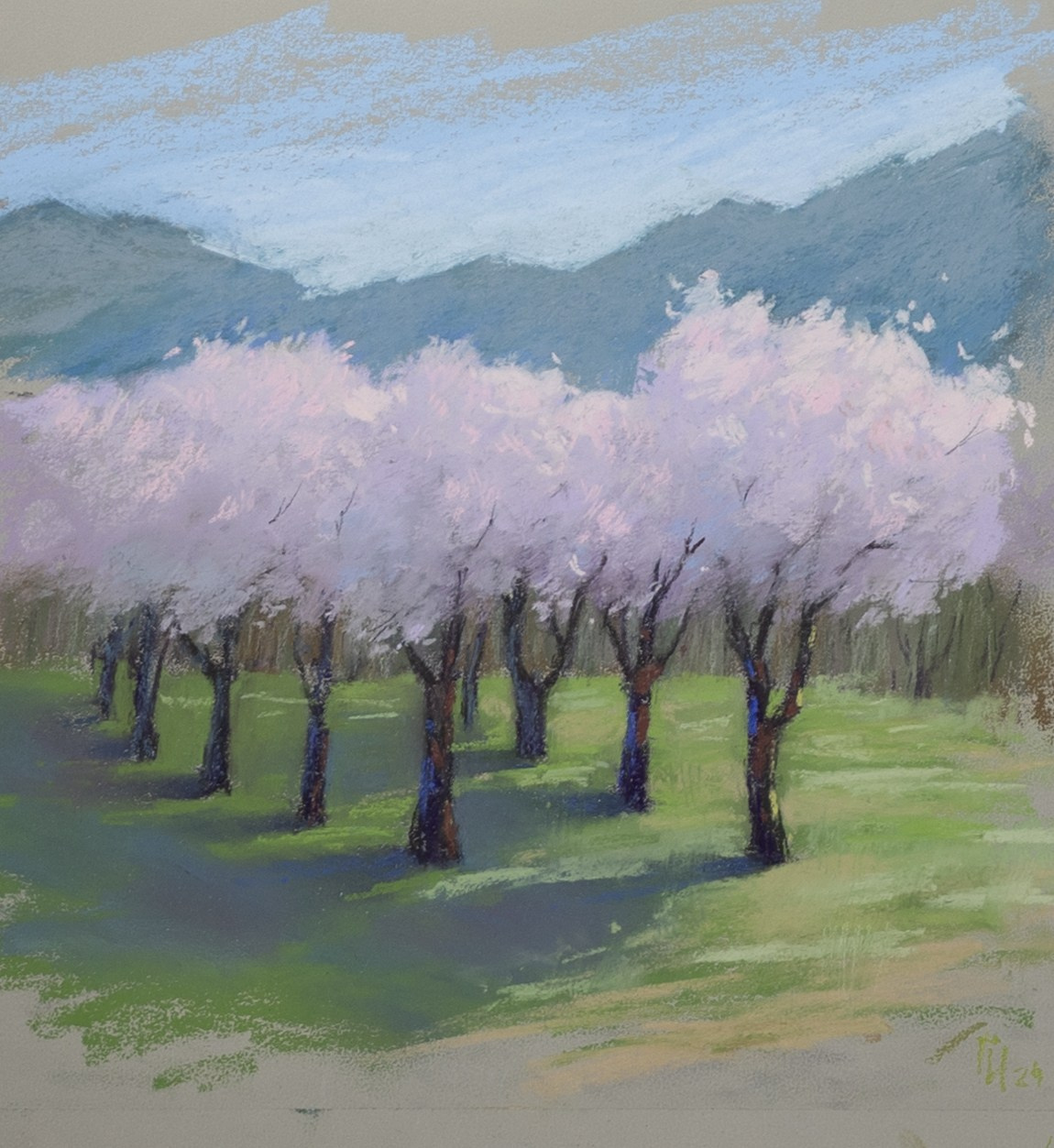 Дагестан, персиковые сады. Пастель, 27х27см.