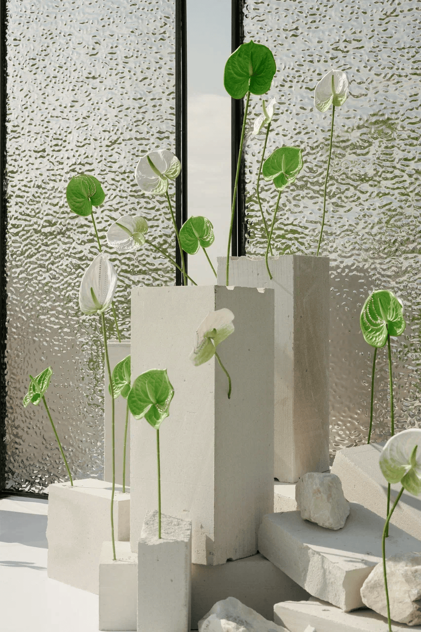 Георгий и Анна. Организатор Романова Любовь