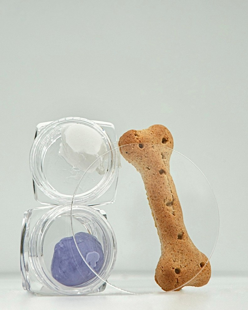 S🐾 mnoy forever. Фотограф и Кинолог Ольга Мурзина