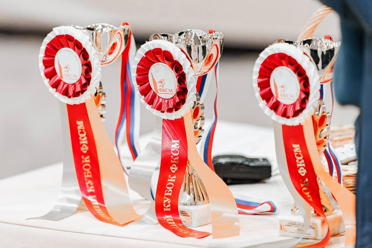 ЗИМНИЙ КУБОК ФЕДЕРАЦИИ КОННОГО СПОРТА ГОРОДА МОСКВЫ. Куракина Дарья • Конный фотограф