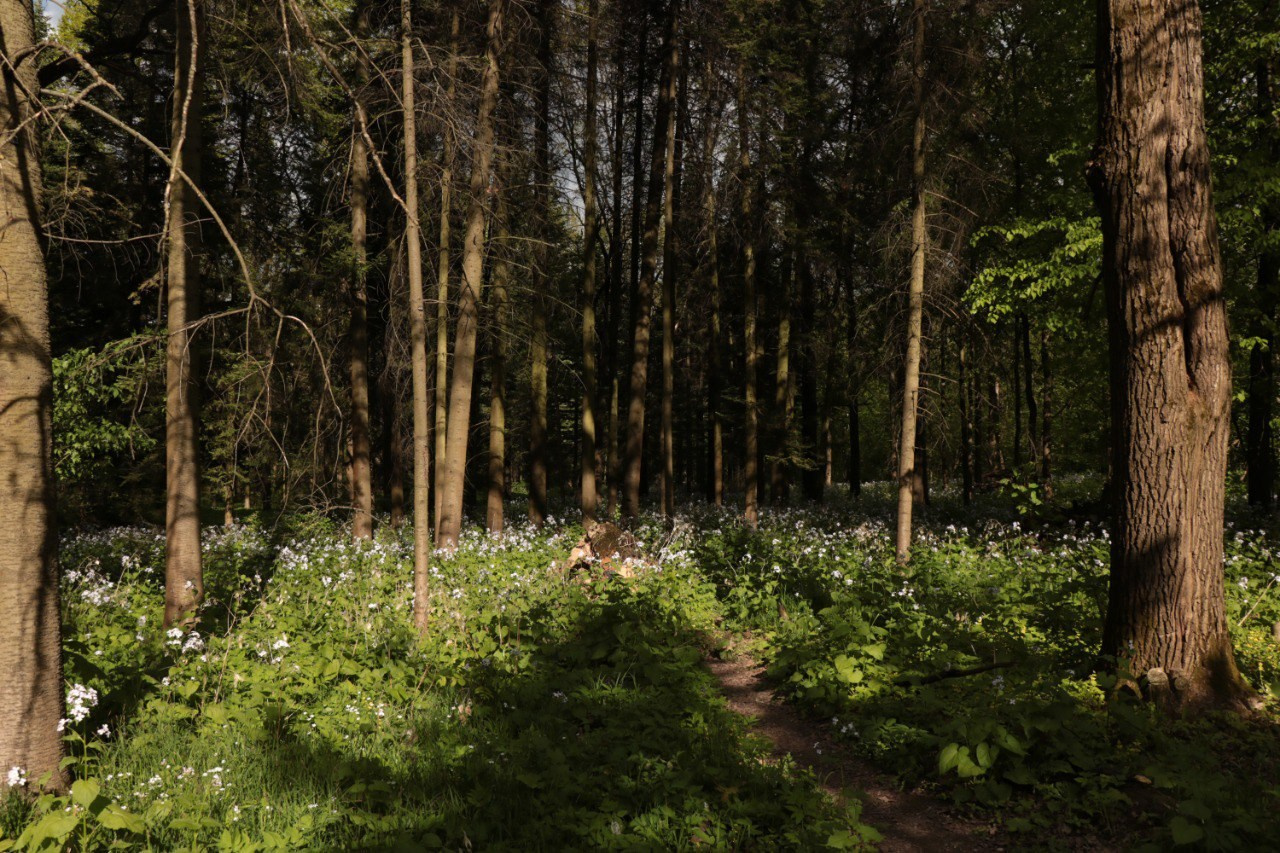 пейзажная фотография