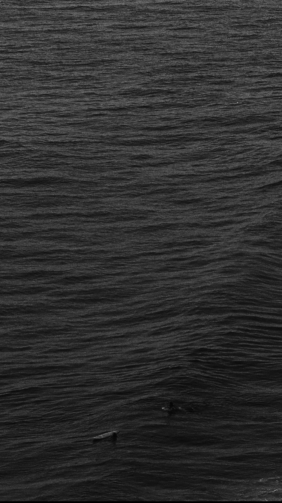 Elements. Carolinetru