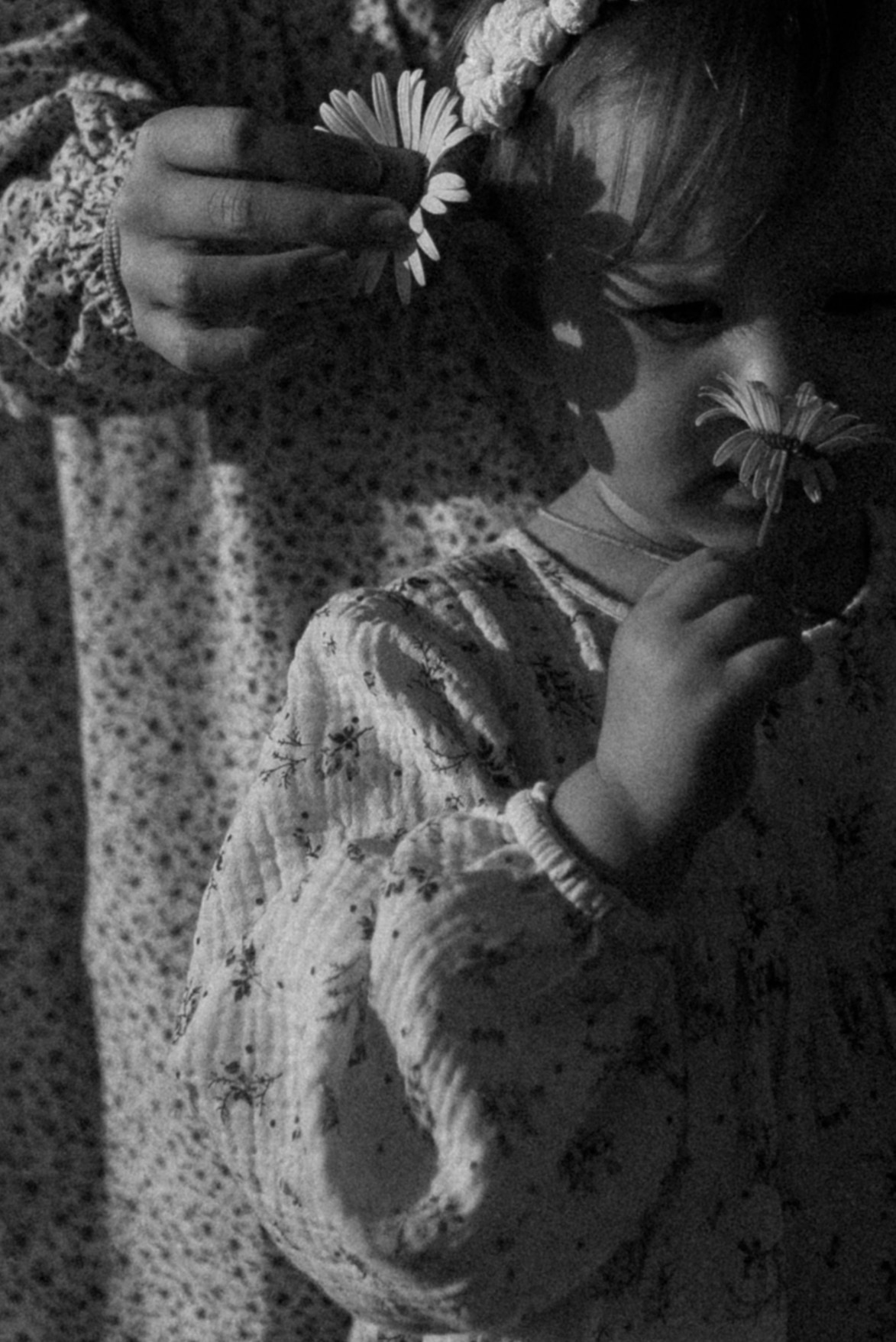 Ида, Мира и ромашки. Свадебный и семейный фотограф Кожевникова Лариса