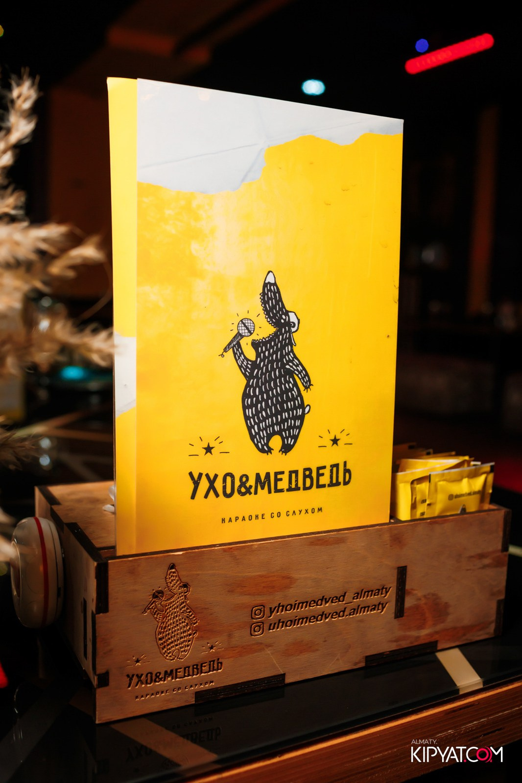 УХО И МЕДВЕДЬ НА ГАГАРИНА. КИПЯТКОМ АЛМАТЫ!