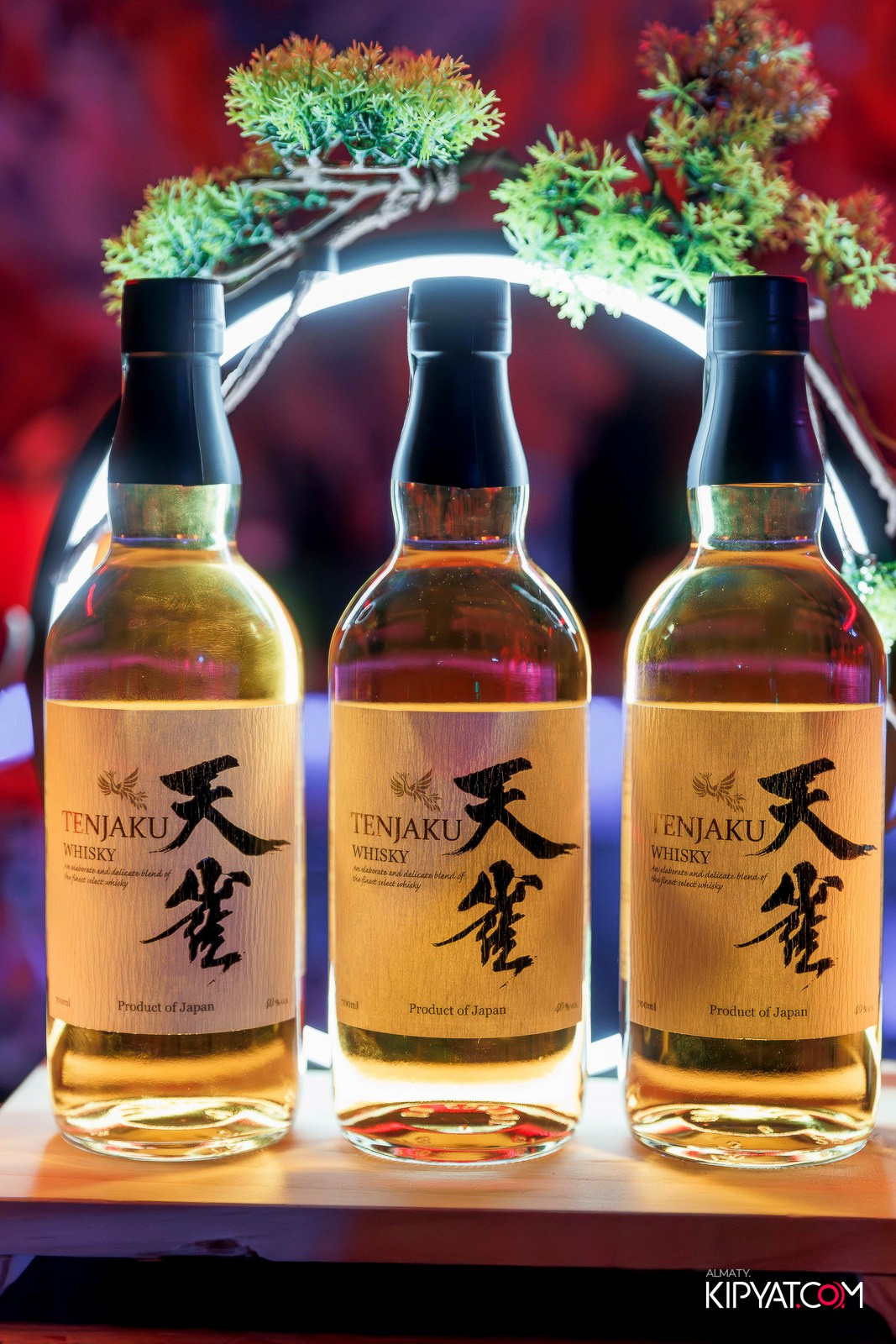 TENJAKU PROMO 2025 «HALLOWEEN PARTY» BHB. КИПЯТКОМ АЛМАТЫ!