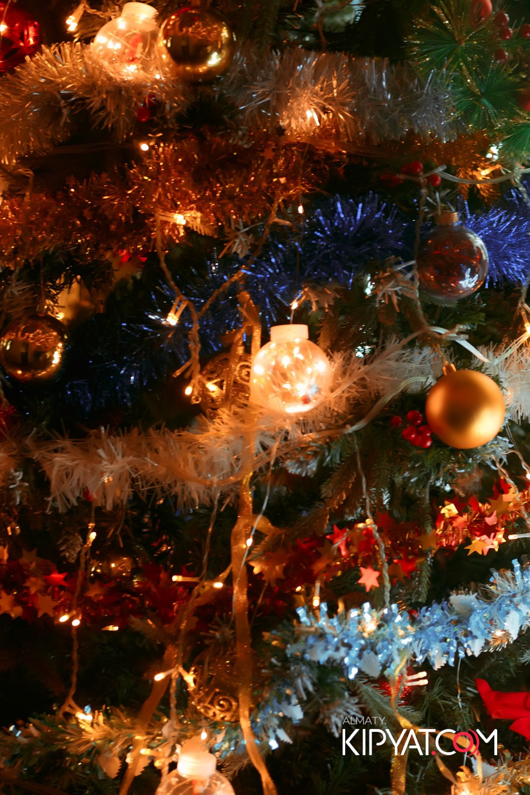 УХО И МЕДВЕДЬ НА САИНА. КИПЯТКОМ АЛМАТЫ!