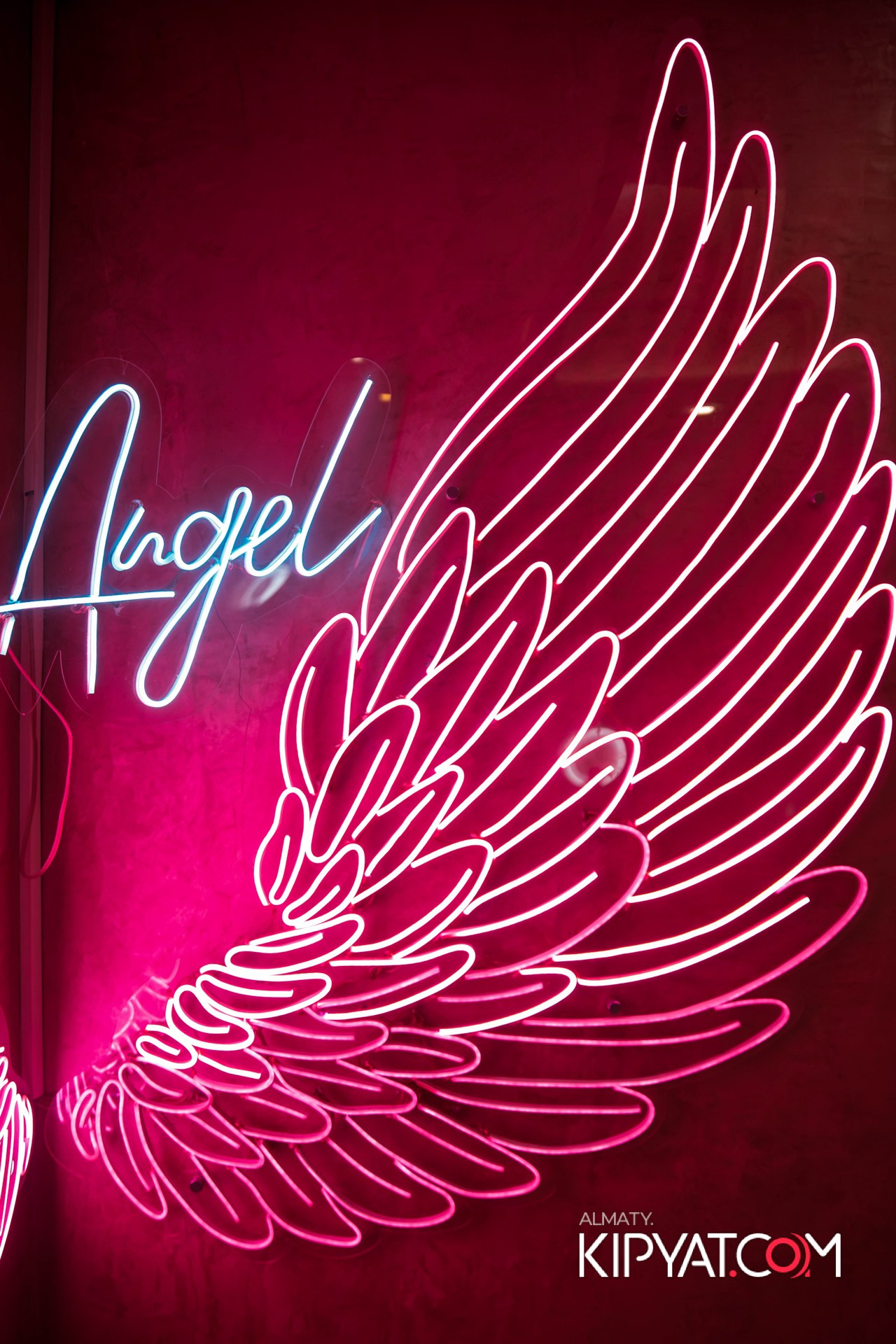 УХО И МЕДВЕДЬ НА КУРМАНГАЗЫ. КИПЯТКОМ АЛМАТЫ!