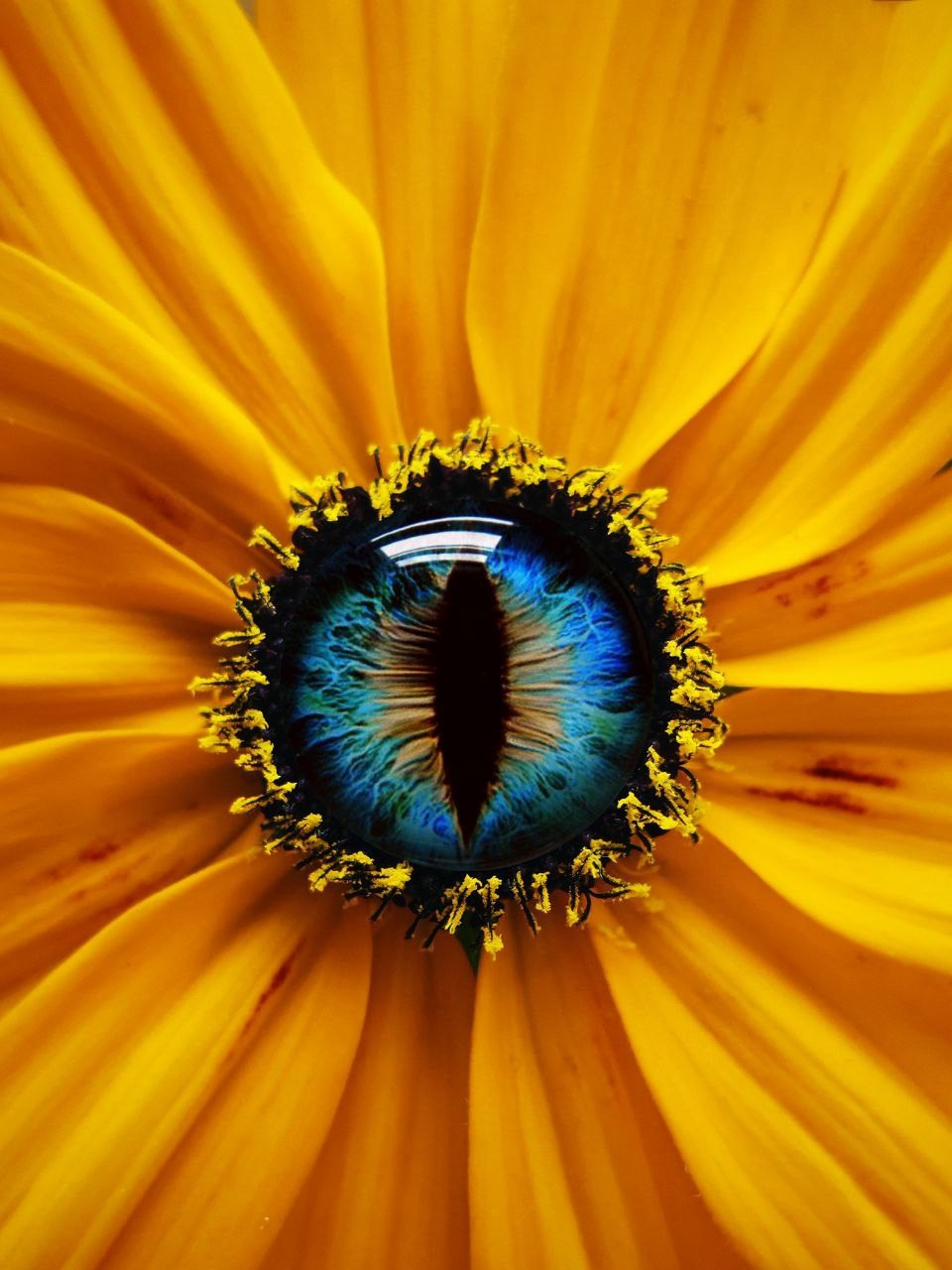 ЛУЧШЕЕ. ARTEXPOPHOTO