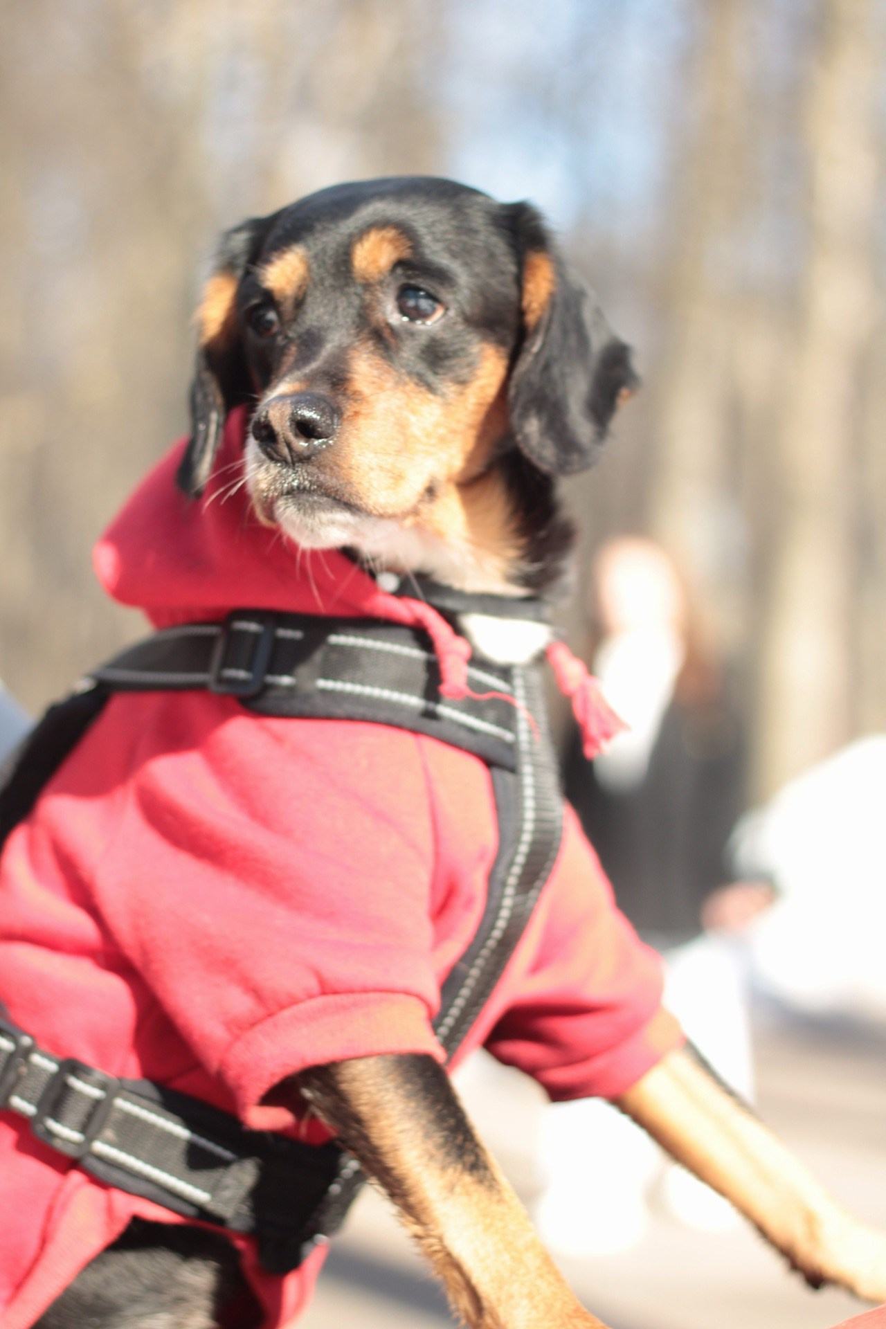 Маша и Кекс. Катя Попова|ЛайфСтайл фотограф