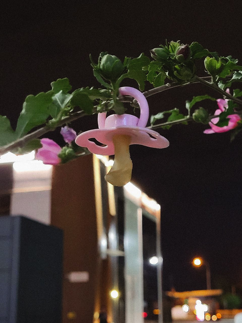 Проект «366»|2024|Фото каждый день. LENA GRACE photographer ||ЛЕНА ГРЭЙС фотограф