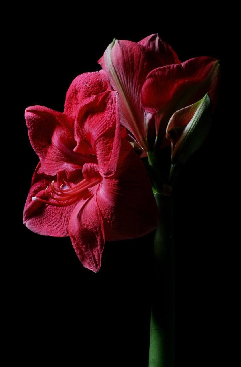 Предметы. Фотограф в Москве Юлия Майорова