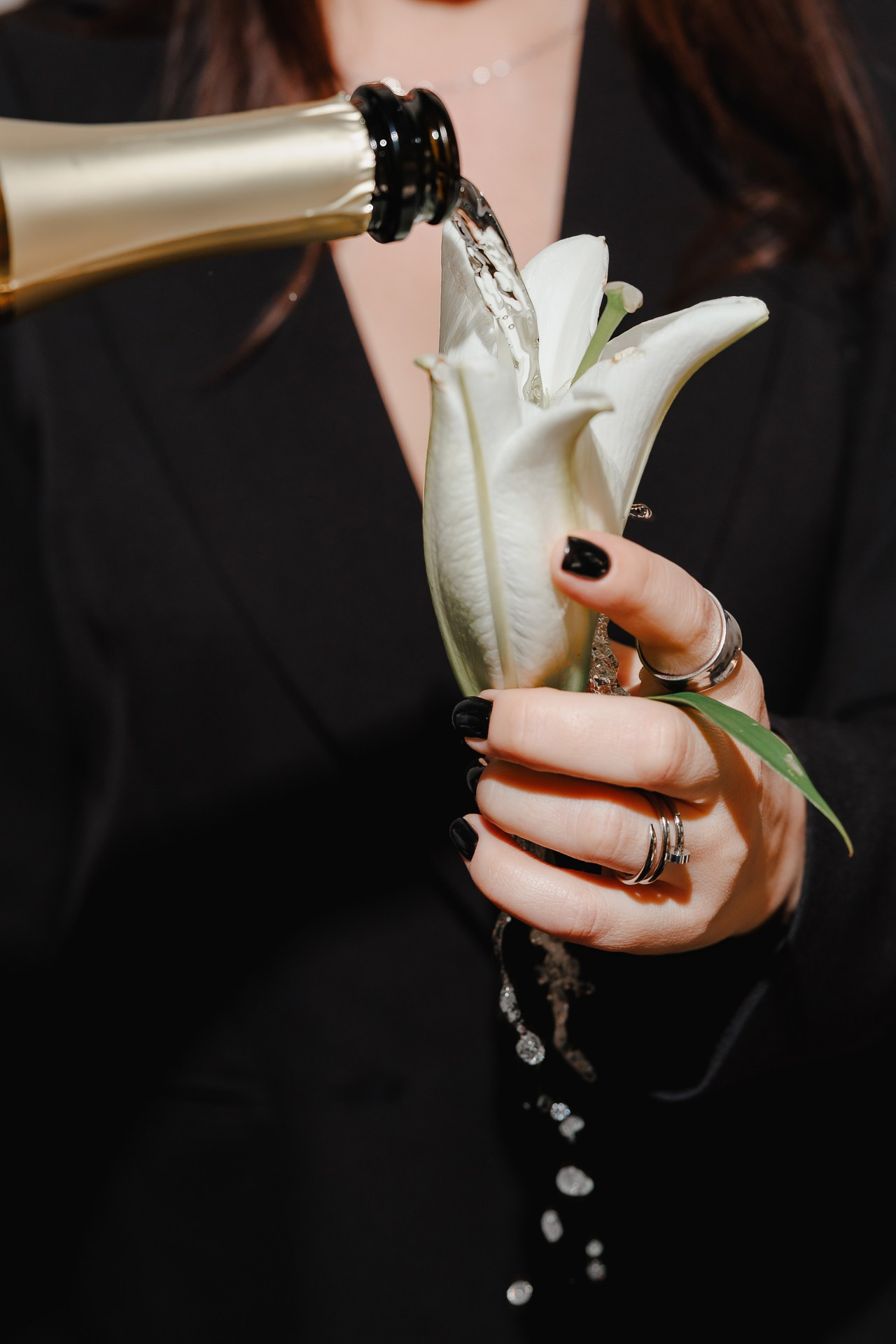 Goose Goose. Night2Day Санкт-Петербург