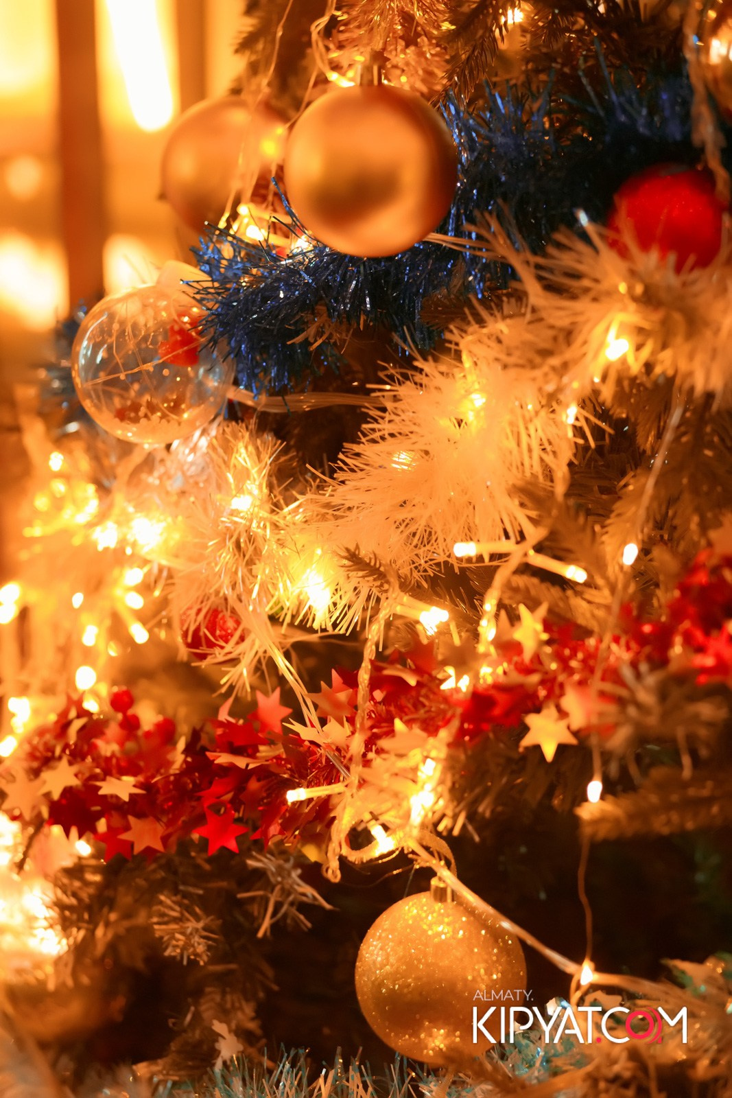 УХО И МЕДВЕДЬ САИНА. КИПЯТКОМ АЛМАТЫ!