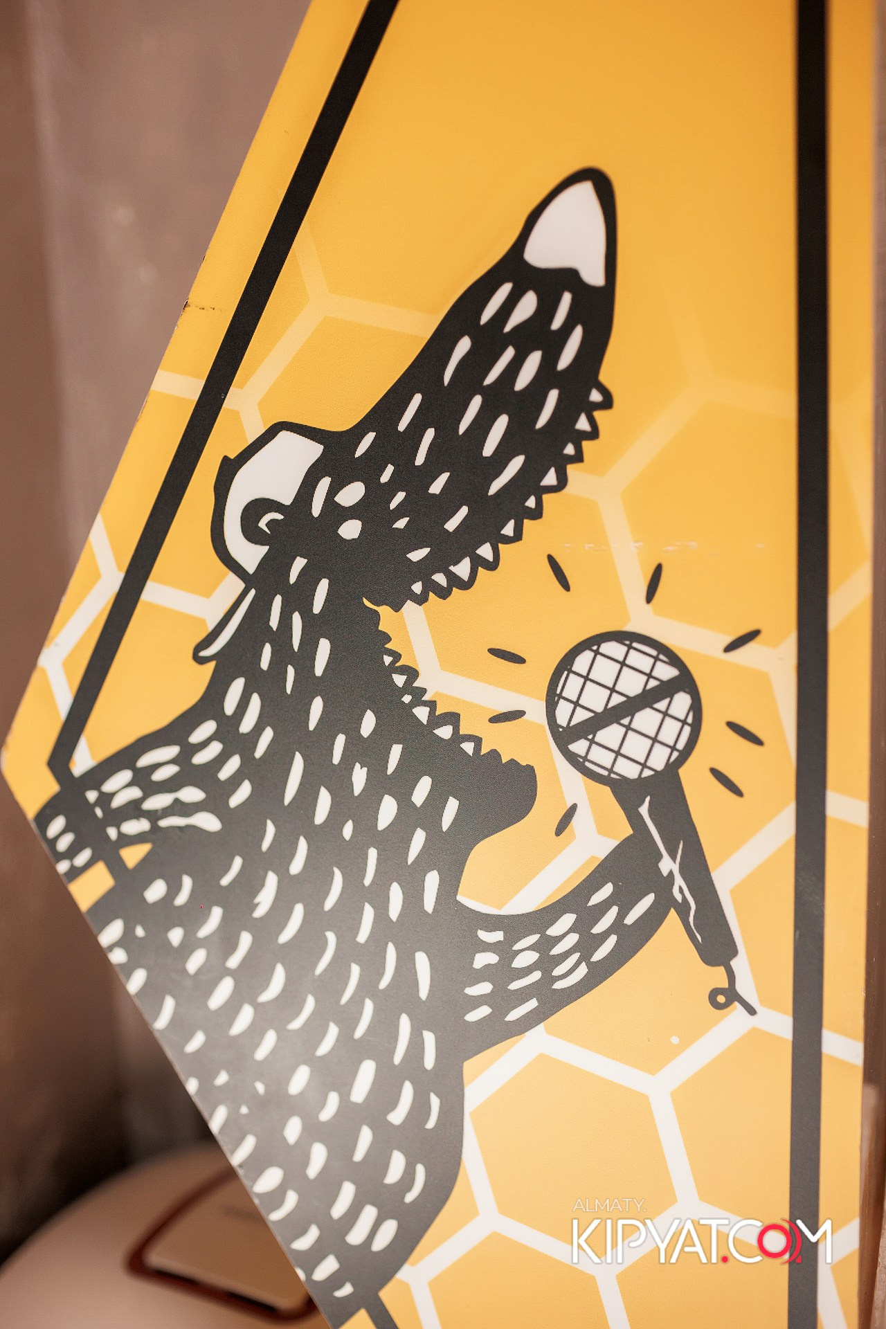 УХО И МЕДВЕДЬ НА ГАГАРИНА. КИПЯТКОМ АЛМАТЫ!