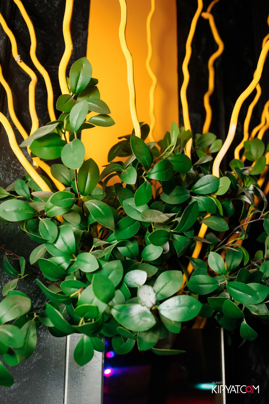 УХО И МЕДВЕДЬ НА ГАГАРИНА. КИПЯТКОМ АЛМАТЫ!