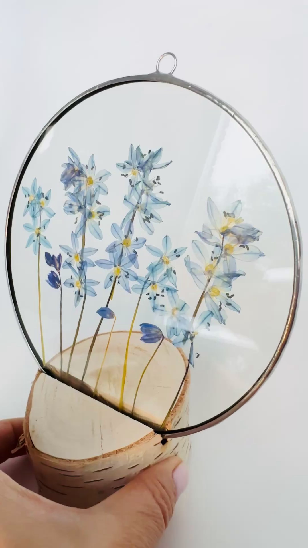 Гербарий в стекле с сухоцветами (витраж в технике тиффани). Гербарий в стекле, интерьерные панно, витражи с сухоцветами в технике тиффани