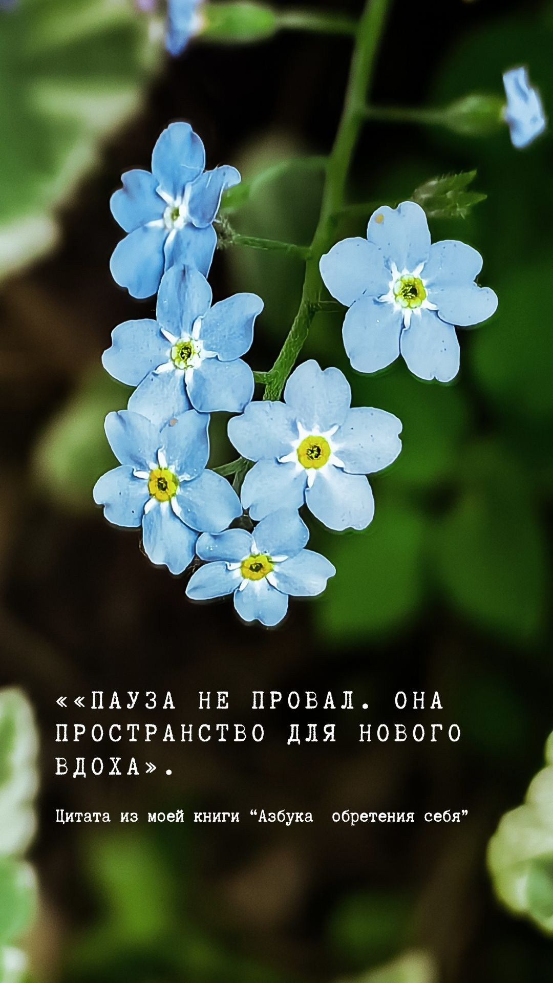 О главном. Творческая Таты Пахомовой