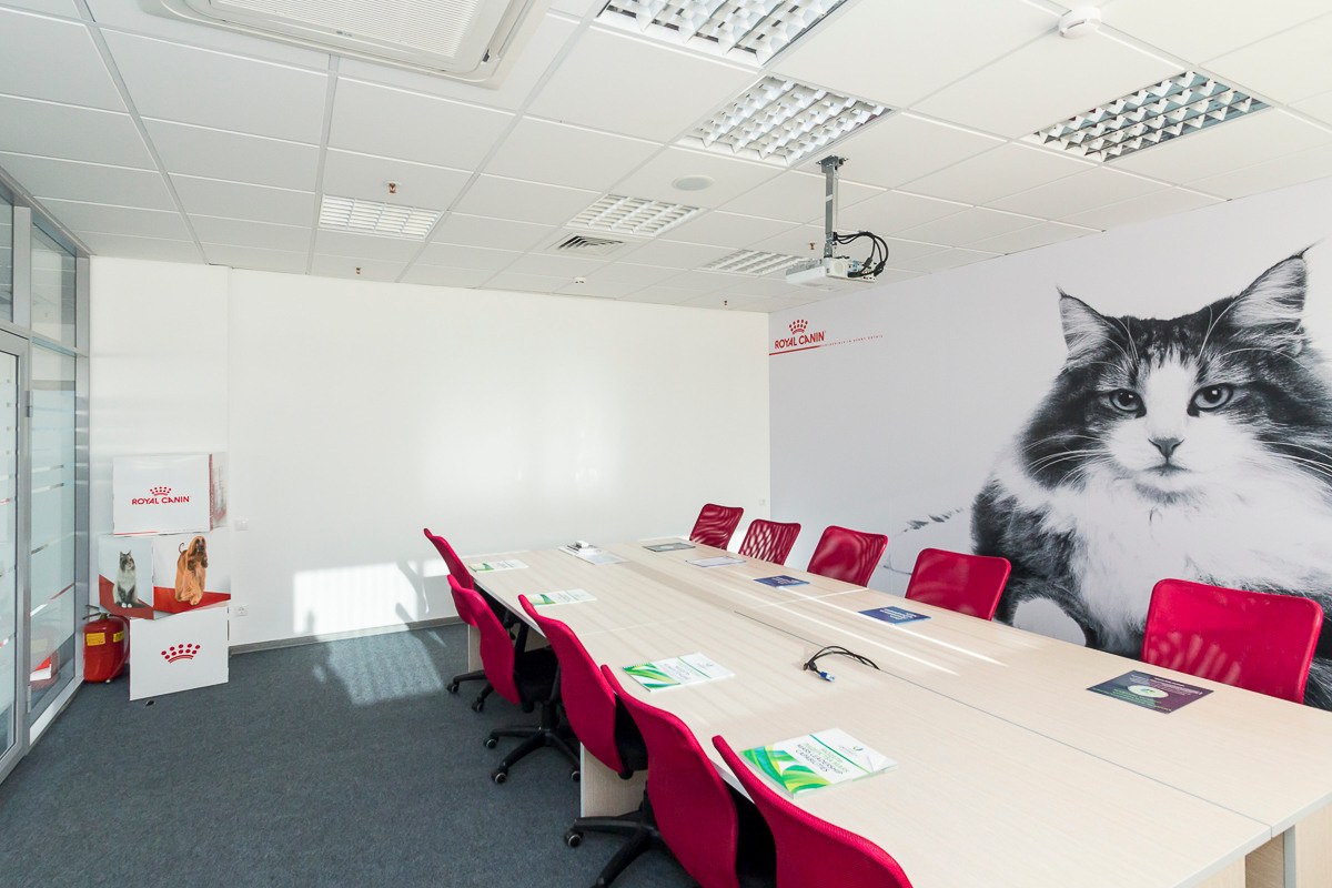 Фотосъемка коммерческой недвижимости и интерьеров. Примеры работ. Создание сайтов, SMM, производство контента | Студия «Медведь» | Услуги для бизнеса