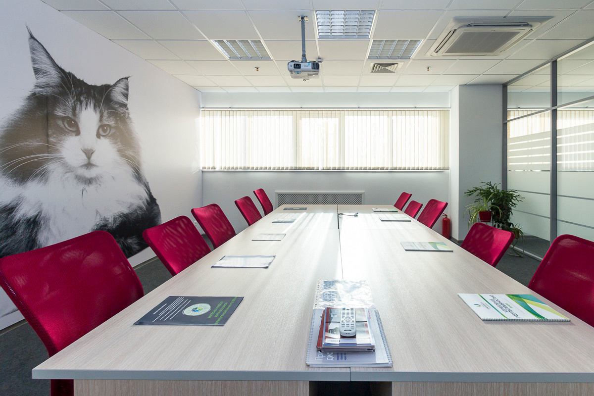 Фотосъемка коммерческой недвижимости и интерьеров. Примеры работ. Создание сайтов, SMM, производство контента | Студия «Медведь» | Услуги для бизнеса