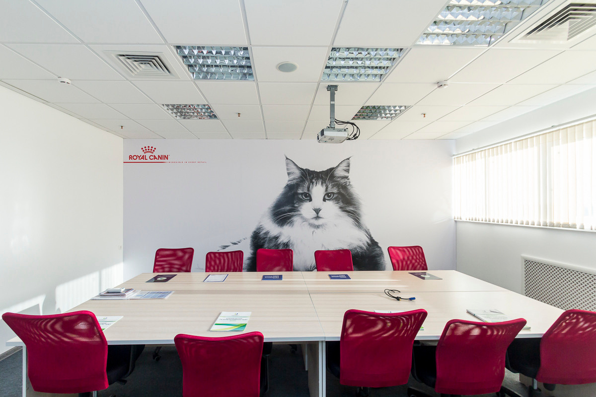 Фотосъемка коммерческой недвижимости и интерьеров. Примеры работ. Создание сайтов, SMM, производство контента | Студия «Медведь» | Услуги для бизнеса