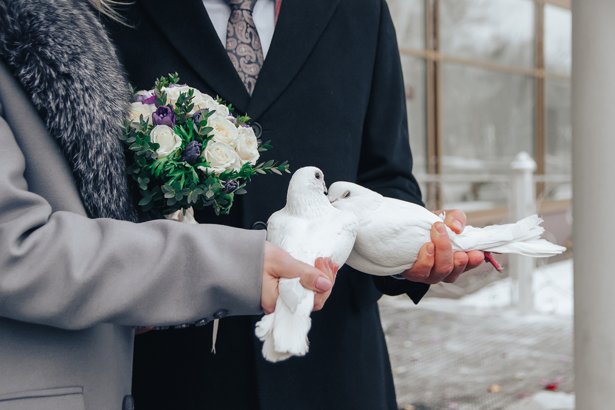 Свадьба в ресторане Гранд Кафе в Твери. Светлана Иванова - профессиональный фотограф