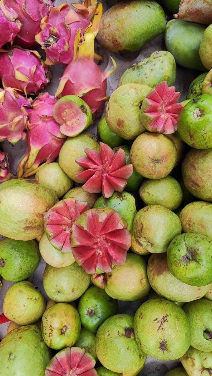 Индия. Живые снимки! Фотограф Даша Бендер