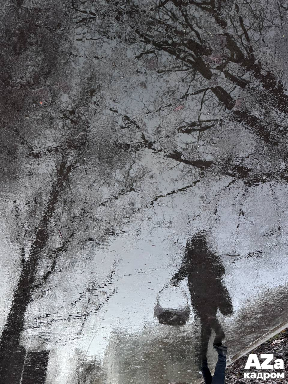 AZакадром «Отражения». Женский семейный фотограф Тула Москва Захарова Анна