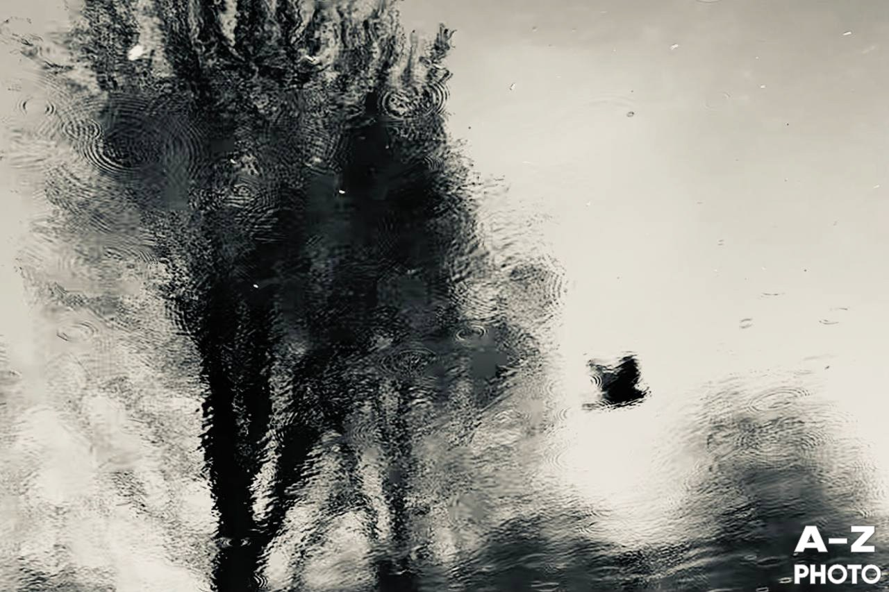 #ФОТОНЕДЕЛИ 13.04.2026. Женский семейный фотограф Тула Москва Захарова Анна