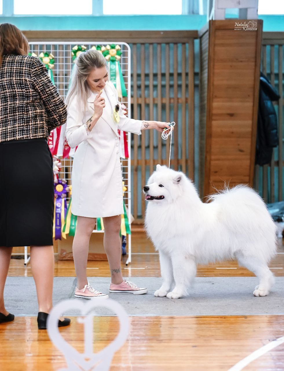 RAFAEL BELOE ZOLOTO SIBIRI. Самоед Новосибирск