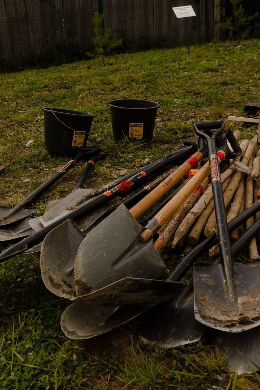 Международный лесоклиматический форум «Экосистема Байкала — 2025» / Подари Планете Жизнь / 5 дней. Борщевская Елизавета / фотограф Иркутск