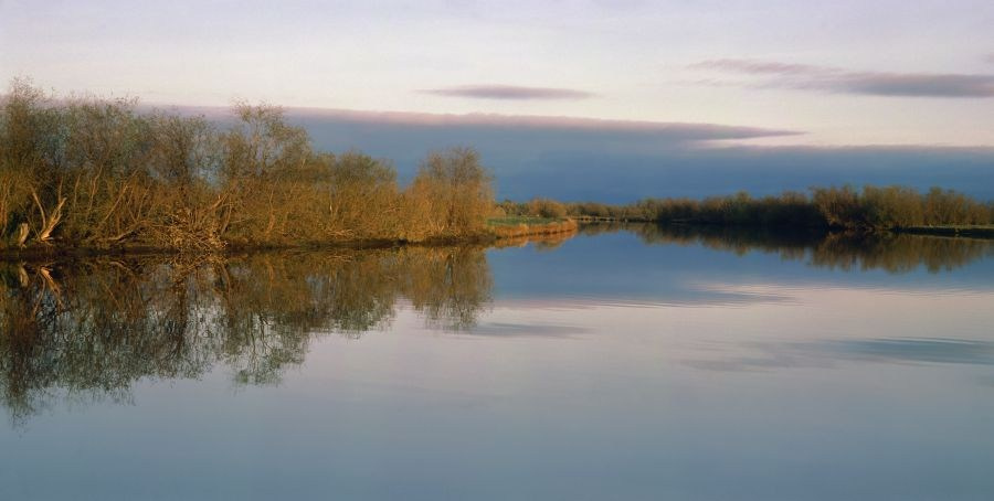 Весна. ВАДИМ ГИППЕНРЕЙТЕР — ВЕЛИКИЙ ФОТОГРАФ ЗЕМЛИ РУССКОЙ