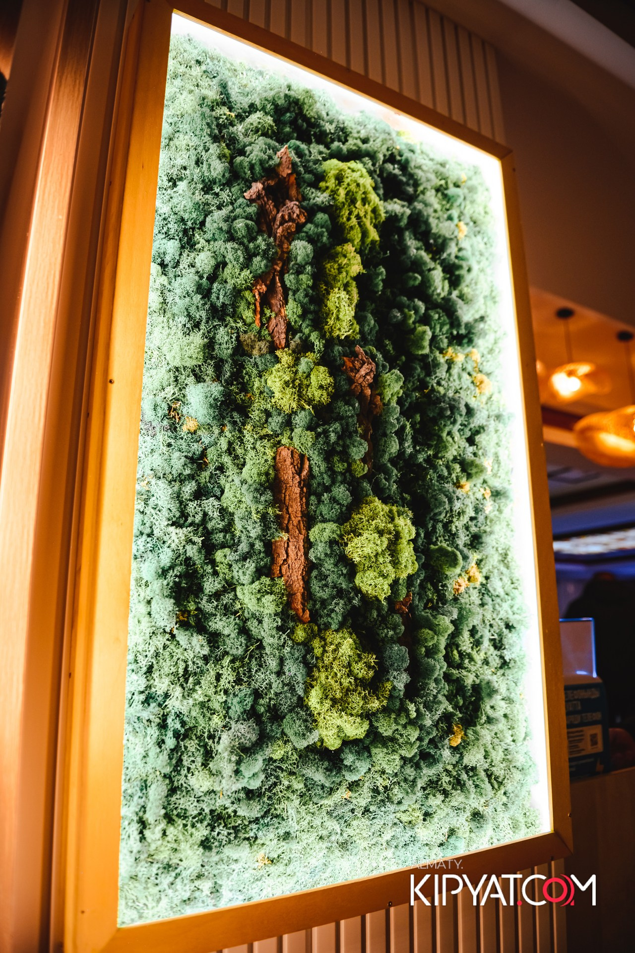 КАФЕ ШАЛКАР-ДИСКО 80-Х. КИПЯТКОМ АЛМАТЫ!