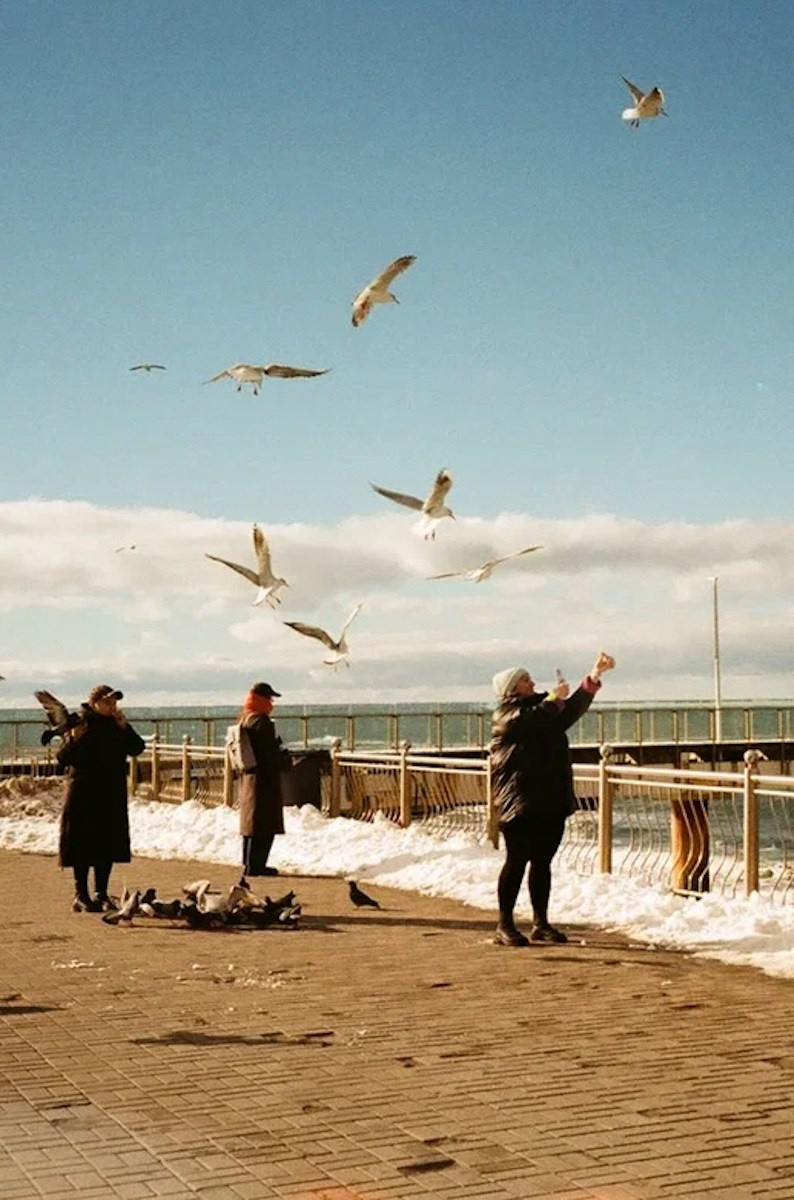 Снято на пленку. Семейный LIFESTYLE фотограф в Москве