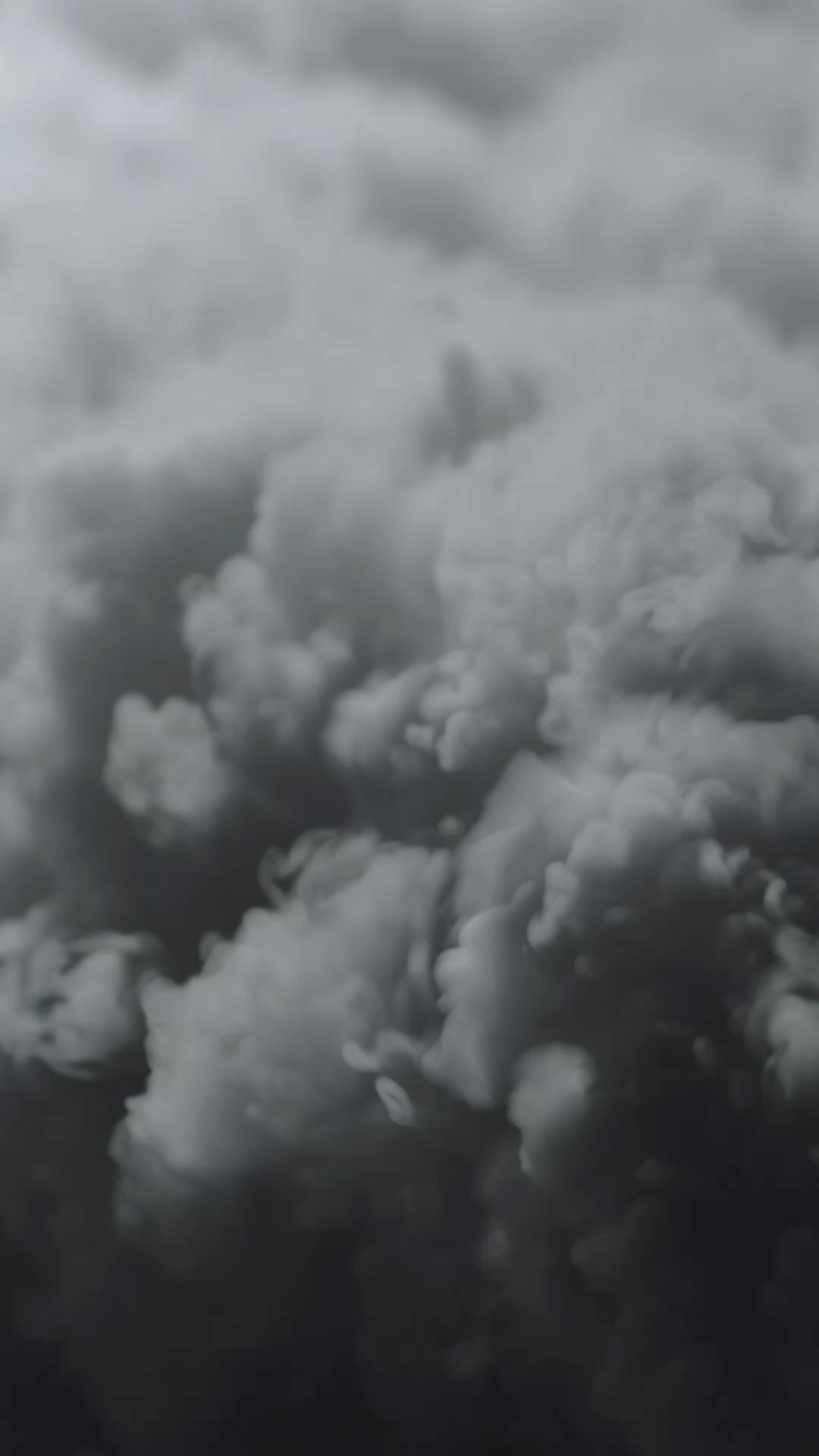 Reels. Видеосъемка в Красноярске. Свадебный видеограф