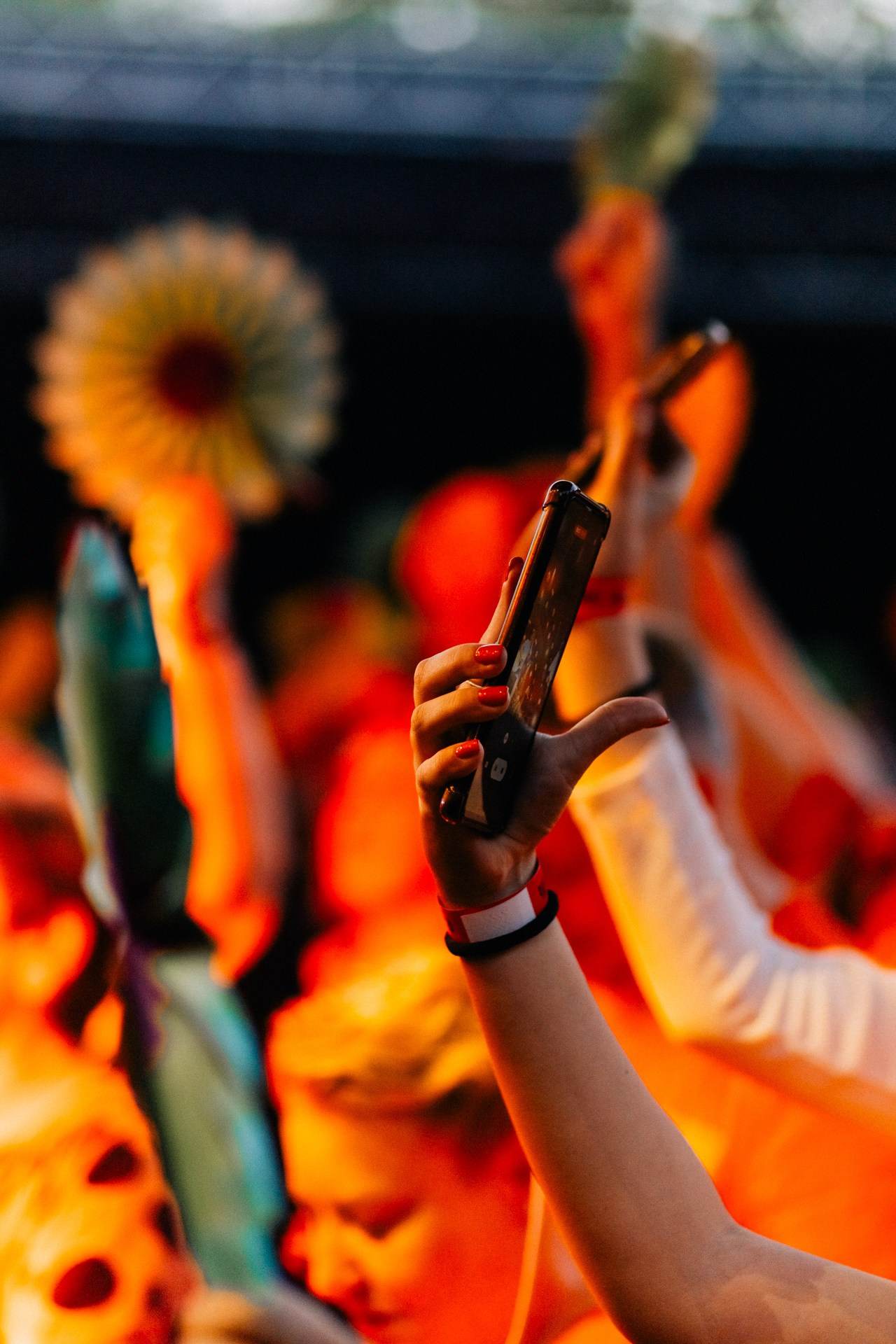 Чайф. Сад Эрмитаж. Концертный фотограф Аля Рашпиль