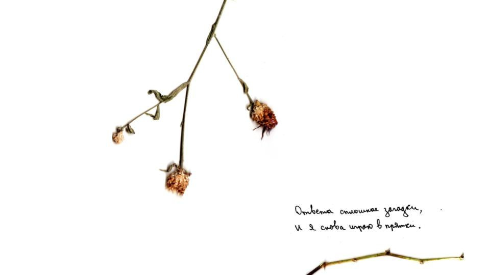 REGENERATION. Timeless Art