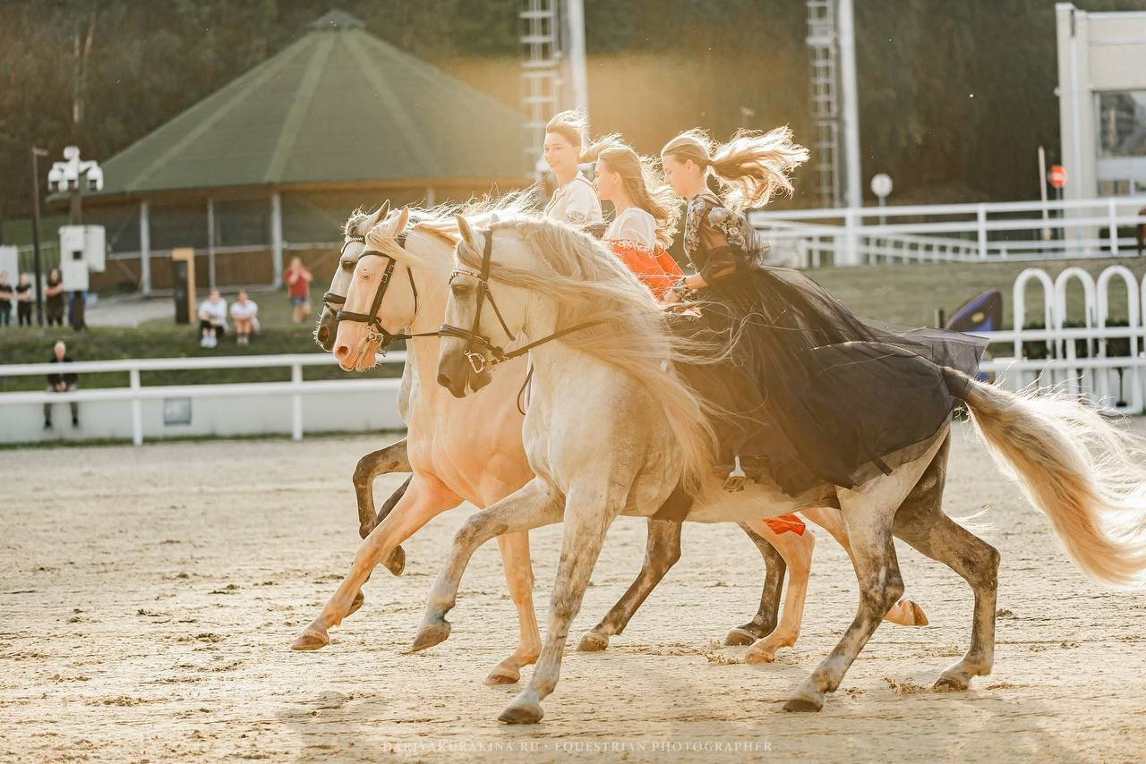 Шоу «ВМЕСТЕ» в рамках 25й Юбилейной выставки ЭКВИРОС 2024. Конный фотограф Куракина Дарья • Фотосессии с лошадьми