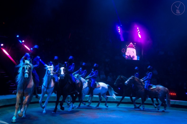 К.У.К.Л.А. Магия музыки в кадре: Концертная Фотография