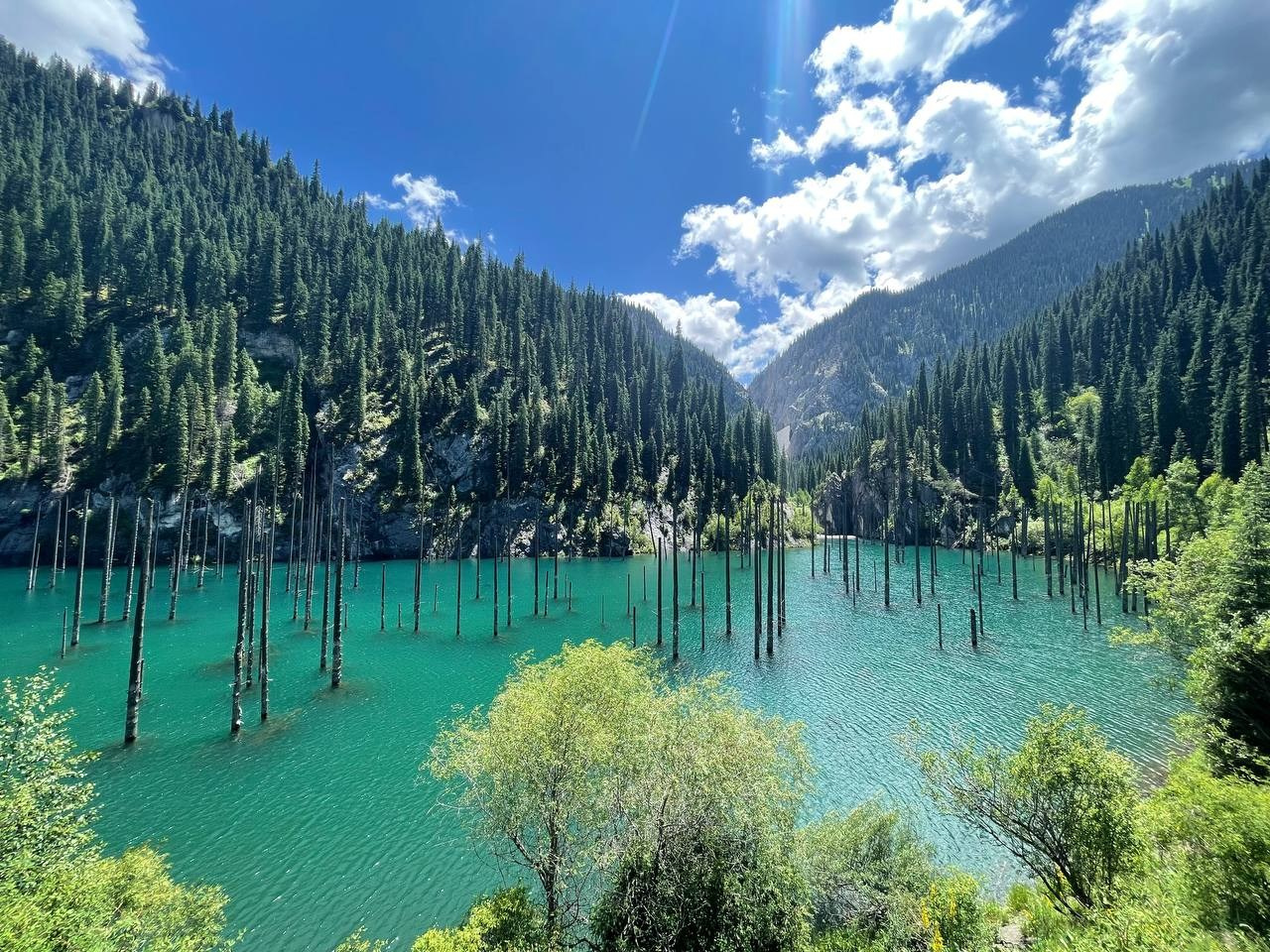 Озеро Кайынды в Казахстане. Затопленный лес. История и почему стоит посетить