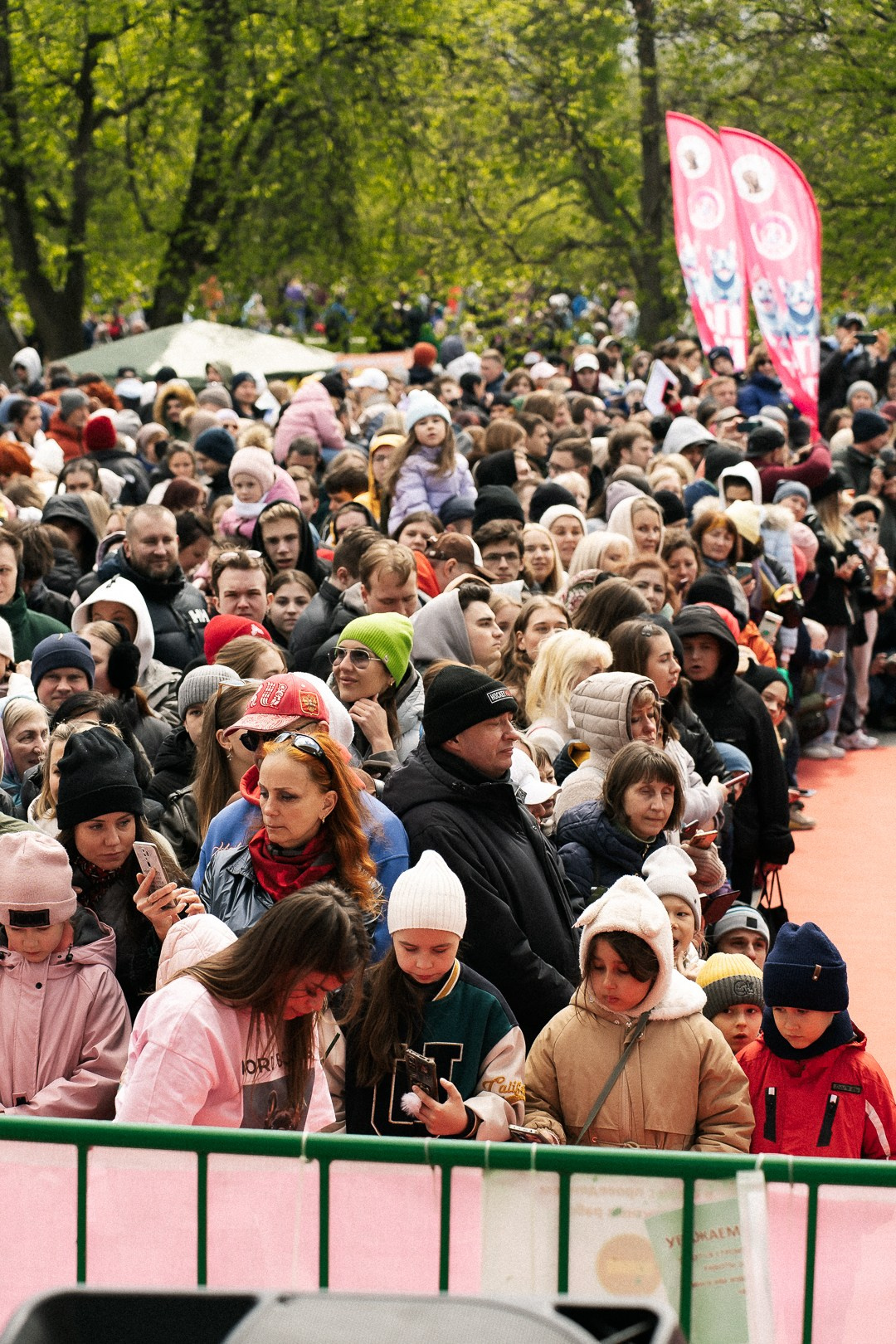 Парад Бульдогов. Axenov_eugene