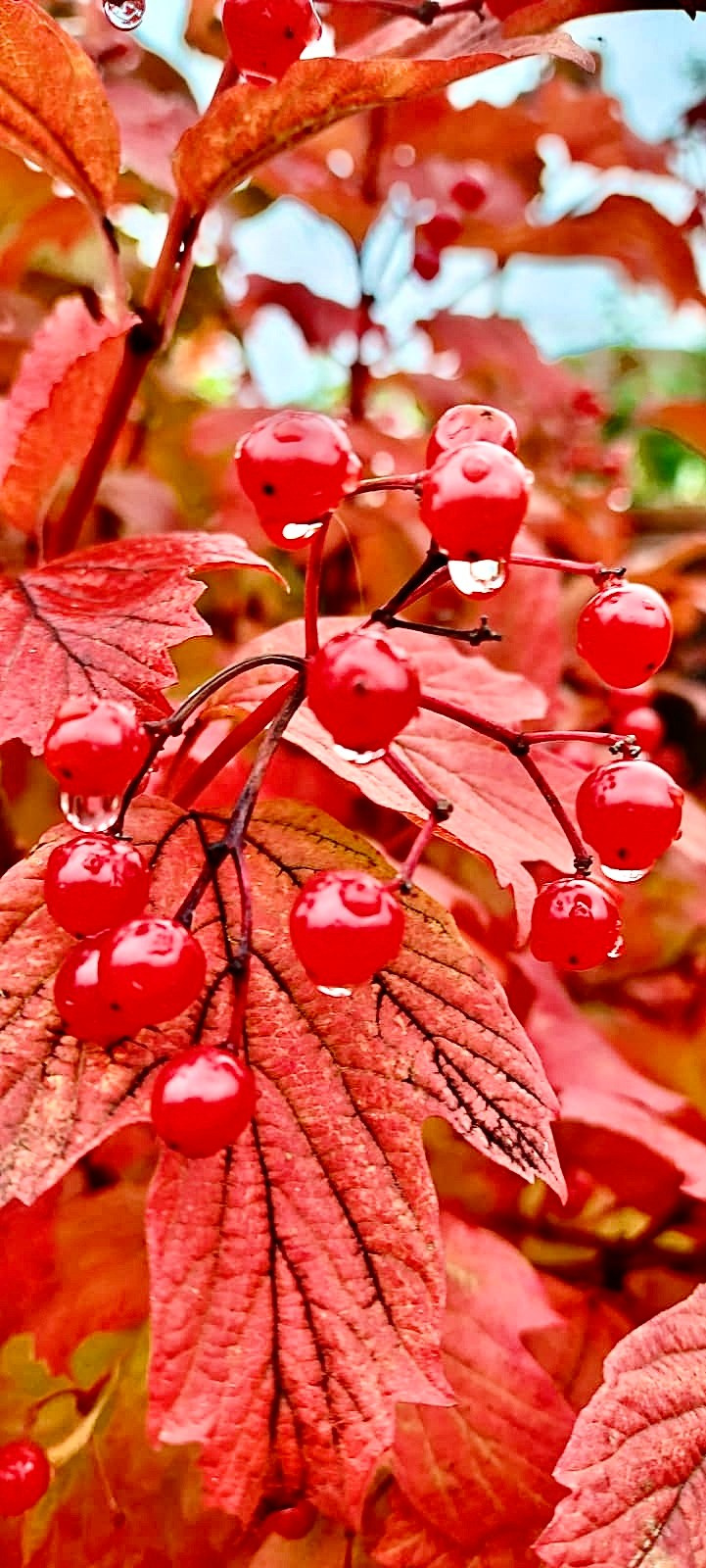 Фотограф Москва. Фотограф и художник в Москве Евгения Нюнина