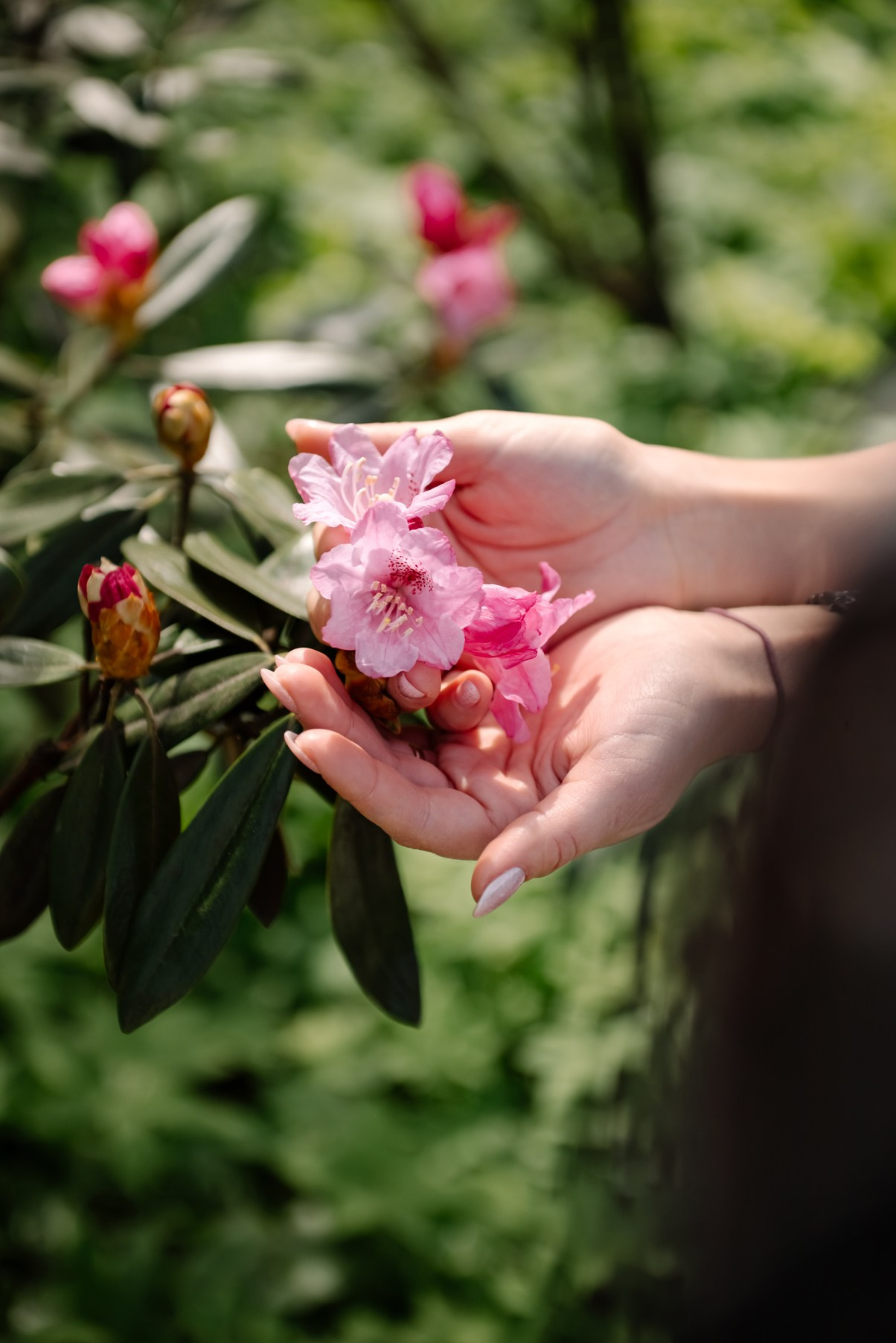 Оксана. Яблоневое цветение. Свадебный и семейный фотограф в Санкт-Петербурге Елена Худякова