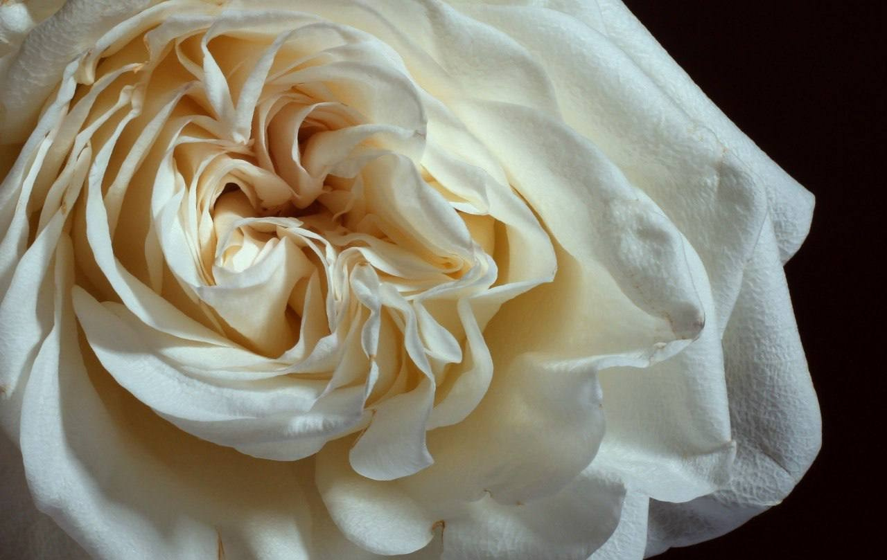 Предметы. Фотограф в Москве Юлия Майорова