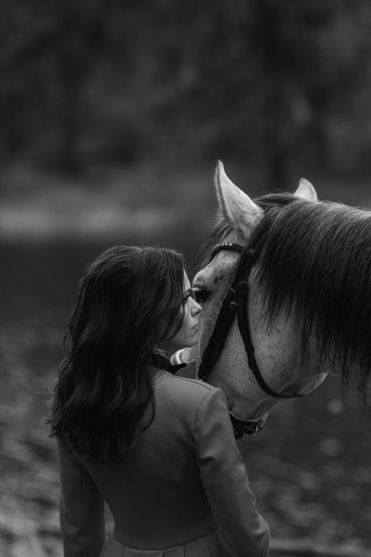 Фотосессии с лошадьми. Фотосессии с лошадьми в Москве от Конный фотографа Кутейниковой Светланы