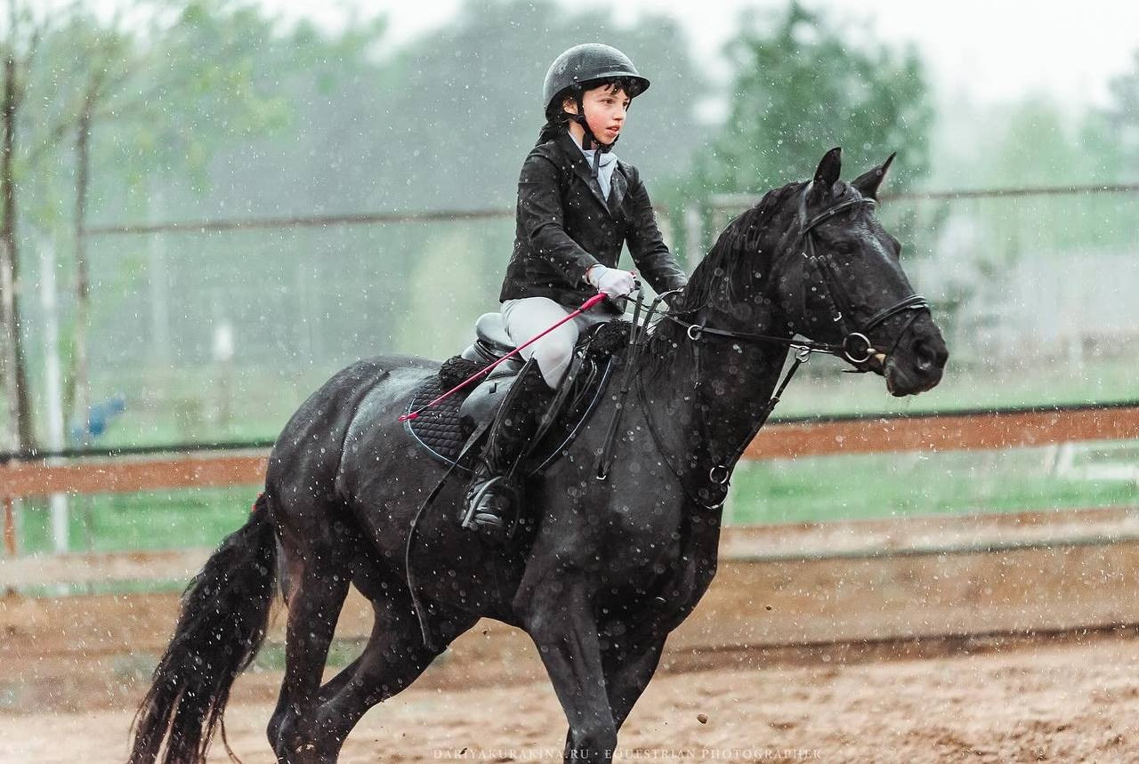 Весенний Кубок по конкуру КСК «Созвездие». Конный фотограф Куракина Дарья • Фотосессии с лошадьми