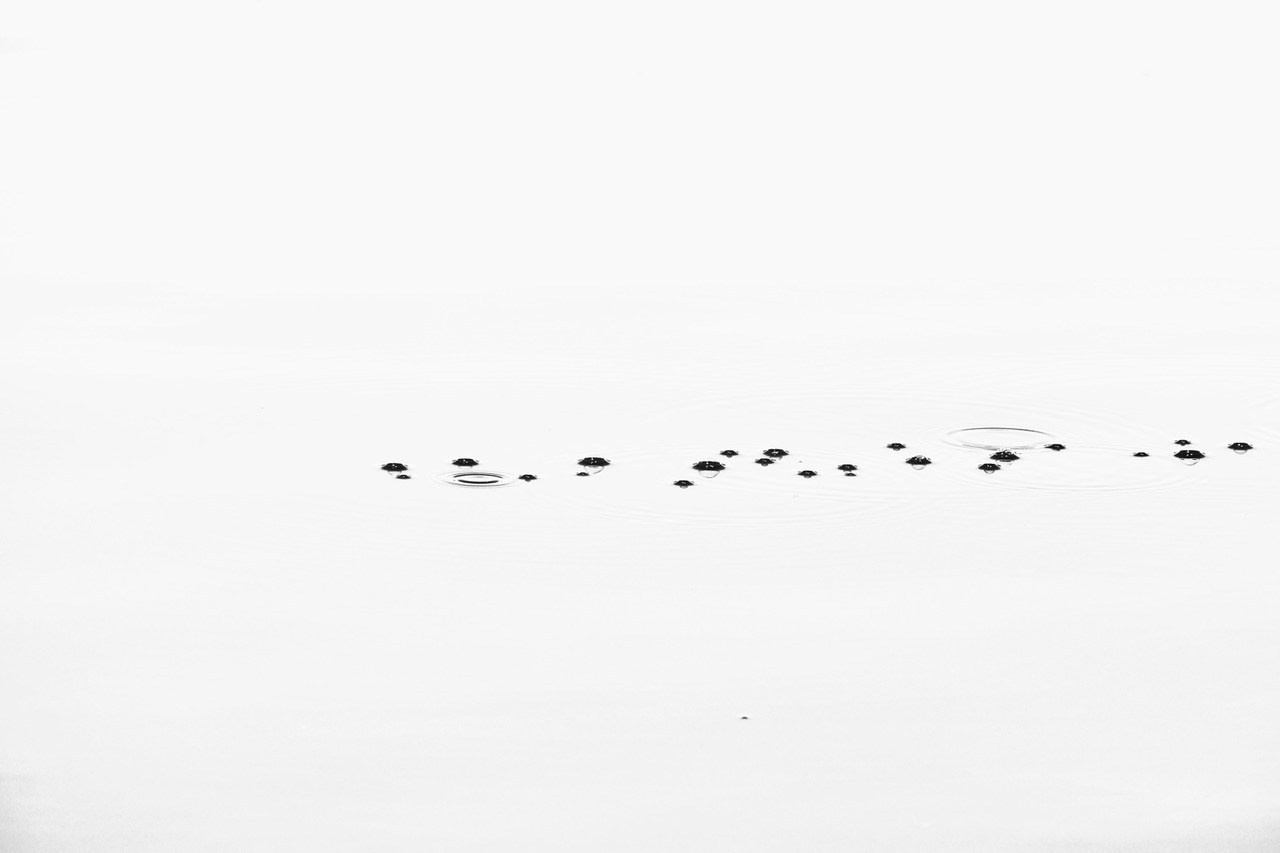 Вологодская область. Фотограф Евгений Андреев