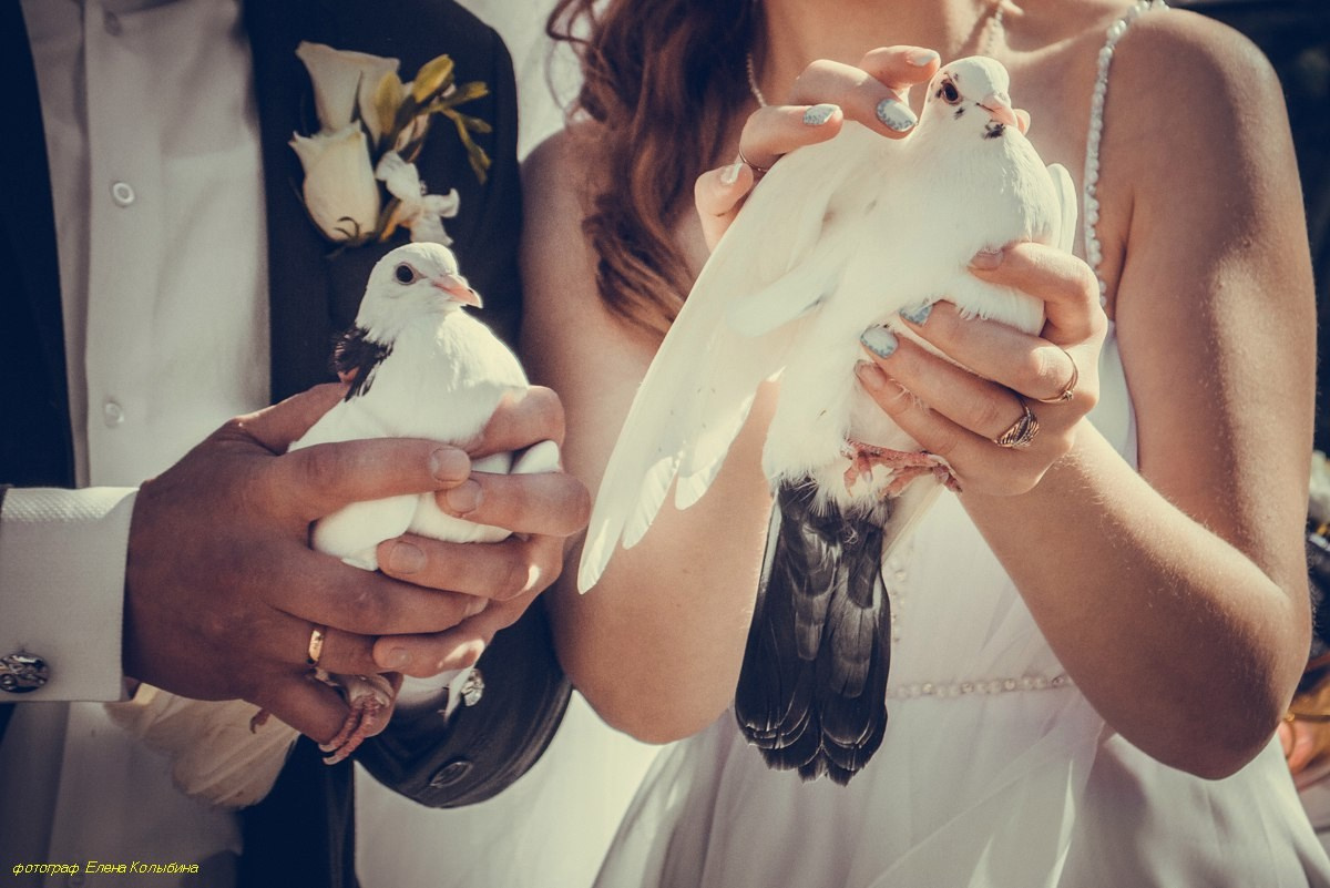 Свадьба. Фотограф в Санкт-Петербурге