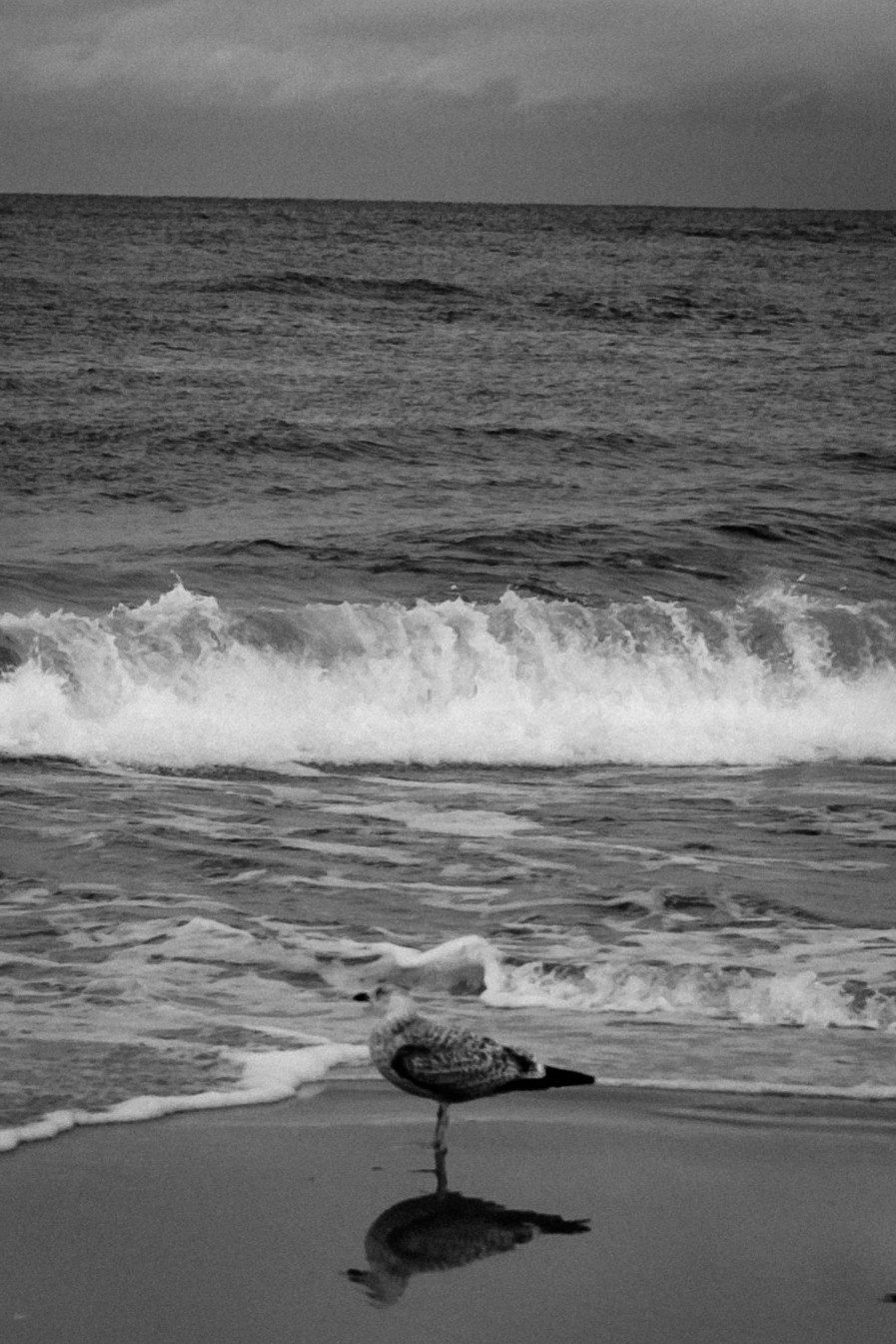 Калининград. Портретный фотограф DanilNabody