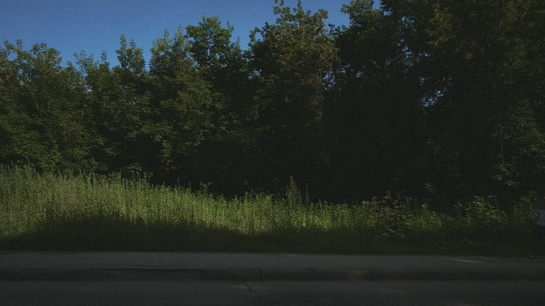 Наблюдения. Семейный фотограф в Новосибирске Артём Кузнецов