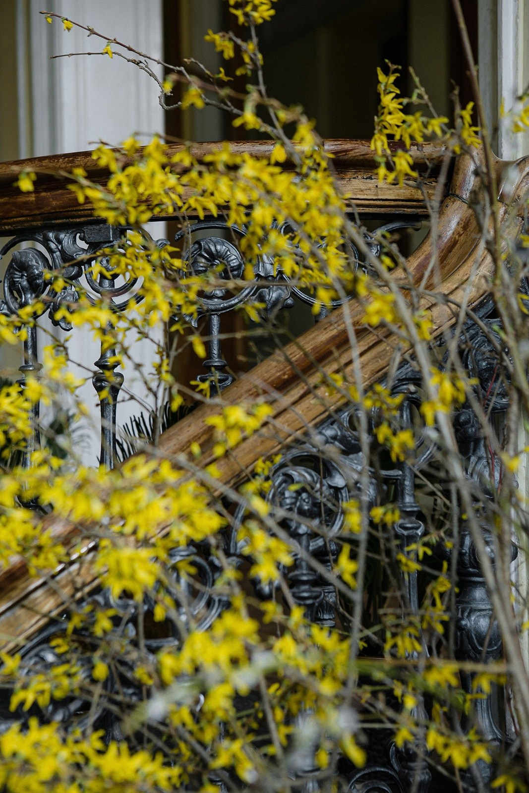 Библиотека им. Пушкина. Оформление свадеб, декор свадеб Вера Маркова, Москва